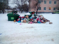 «Как избавиться от мусорного соседства?», вопрошает таганроженка