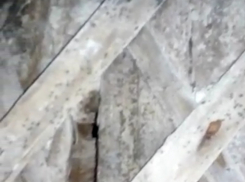 «Всё, что сделали, срывать, рушить, снимать»: эксперт оценил состояние дома погорельцев с Б. Бульварной