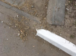 Бордюры в черно-белую полоску в Таганроге напомнили мужчинам   о службе в армии