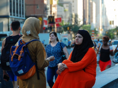 «Рассадники экстремизма и коррупции»: в России хотят ликвидировать диаспоры - кто под прицелом в Ростовской области