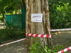 В Таганроге «на глазах» растет новая мусорная куча