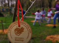 В Таганроге состоялась добровольческая акция «У неизвестного солдата есть имя»