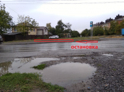 Пока что - с табуреткой и зонтом: ответ властей о необорудованных остановках Таганрога