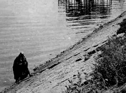 Укрепление берега на Пушкинской набережной обойдется в 567 млн. рублей 