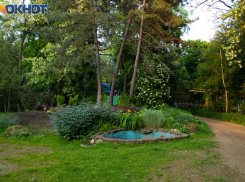 Праздничная афиша мероприятий парка КиО им. М. Горького с 29 августа по 1 сентября