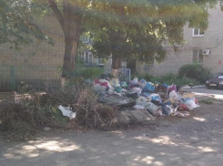Таганрожцам надоело спонсировать «подпольную войну» с мусоровывозящими компаниями