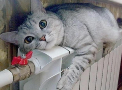 В Таганроге больным, деткам и старикам наступил теплый рай