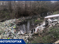 Экологический террор Малай Черепахи туристического Таганрога
