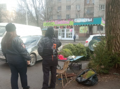 Мобильная группа проверяет законность работы продавцов пиротехники и елок в Таганроге