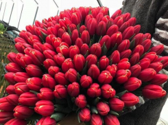 Букеты тюльпанов в женский день к самой двери