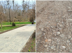 Нужна или нет плитка парку им. Горького Таганрога?