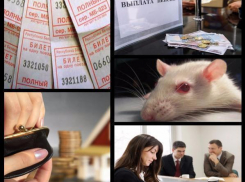 Топ-5 изменений апреля, которые принесут изменения в жизнь таганрожцев