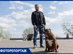 «Лучшие друзья таганрожцев»: прогулка с питомцами по улицам любимого города