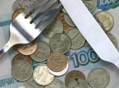 Прожиточный минимум в Ростовской области во II квартале вырос