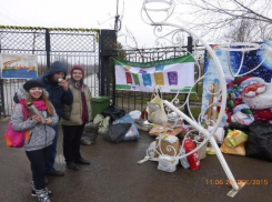 Жители Таганрога сдали 408 килограмм мусора