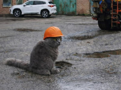 Что делать будем: администрация рассказала о планах на дороги Таганрога