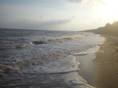 «Зелёный яд» наступает: токсичные водоросли из Таганрогского залива захватывают Азовское море