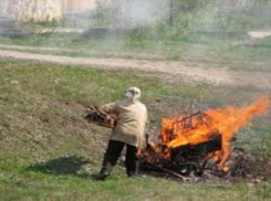 В Ростовской области сумма штрафов за сжигание мусора составила более 3-х миллионов рублей