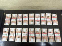 Директор фирмы из Таганрога украл десятки миллионов рублей на госзаказе в Приморье