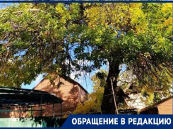 Администрация Таганрога и МКУ «Благоустройство» не могут помочь пенсионеркам