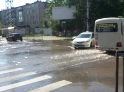 Таганроженка предложила горожанам плавать не в заливе, а в роднике на Тольятти 