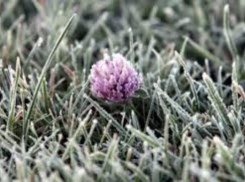 В Таганрог возвращаются зимние морозы