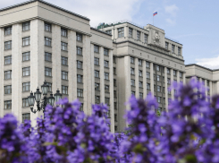   Информация о  размещении предвыборных агитационных материалов(Выборы депутатов Государственной Думы)