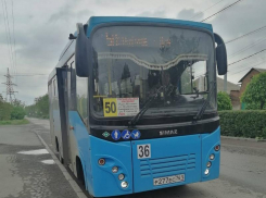 В Таганроге вновь выявили нарушения в работе общественного транспорта