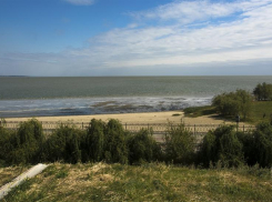 У пляжей Таганрогского залива  Роспотребнадзор обнаружил в воде много микробов