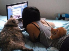 Интернет-знакомство закончилось для студентки из Таганрога незабываемыми приключениями