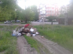 Мусорные диверсанты решили взять Таганрог штурмом