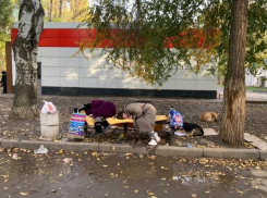 Возможно ли исправить асоциального человека или кто помогает бездомным Таганрога?