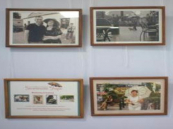 Восемь фотографов представят жителям Таганрога свое видение «Зонтичного утра»