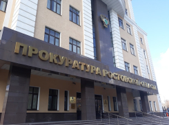 Таганрогская транспортная прокуратура выявила коррупционное нарушение при трудоустройстве экс-таможенника