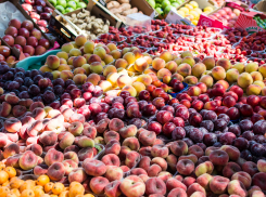 Республики Средней Азии будут обеспечивать нас фруктами