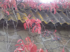 Прохладные дождливые дни ждут жителей Таганрога на этой неделе 