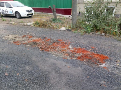 В Таганроге после свиньи строительный мусор убрали пожилые люди