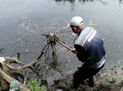 Разделенная реальность: администрация рассказала о чистке пруда, таганрожцы не согласны