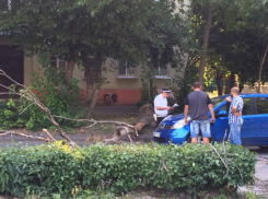 Ураган принес беды в Таганрог