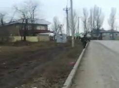 Таганрожцам надо выбрать, где ходить - по грязи, по мусору или по дороге