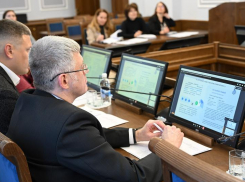 Депутаты областного Заксобрания предлагают таганрогским бизнесменам выйти из «серой зоны»