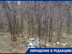 Театр начинается с вешалки, а Таганрог с засыпанных мусором  ж/д путей, что ведут к Новому вокзалу