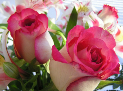  Что подарят таганрогские мужчины 20-летние, 30летние, 40-летние своим любимым