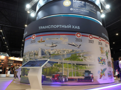 В донских портах построят перегрузочные терминалы