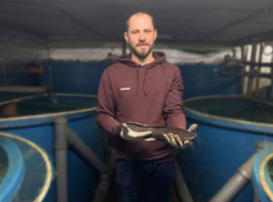 На африканских сомах калужанин зарабатывает 6 миллионов в год