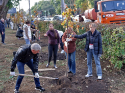 Первые шаги осенней высадки деревьев в Таганроге 