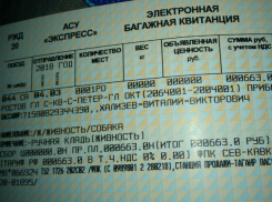Песику Каштанчику из Таганрога выписали отдельный ж/д билет