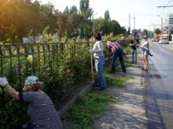 Таганрогские предприниматели и предприятия помогают навести в Таганроге порядок