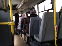 «Наглая ложь!»: Таганрожцы прокомментировали итоги проверки общественного транспорта