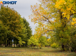28 ноября: что можно и нельзя делать таганрожцам в Гурьев день